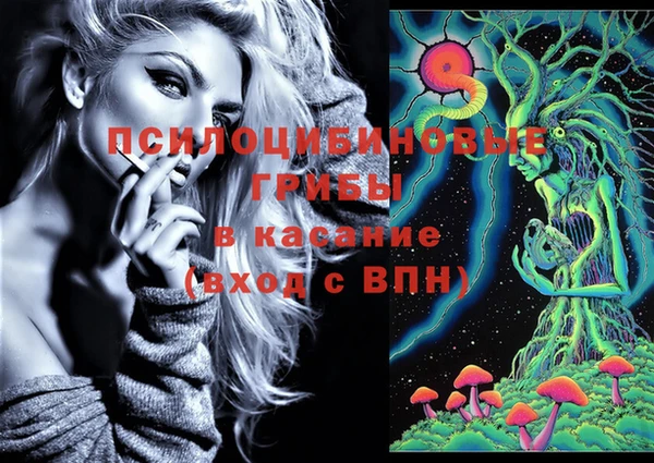 mix Абаза