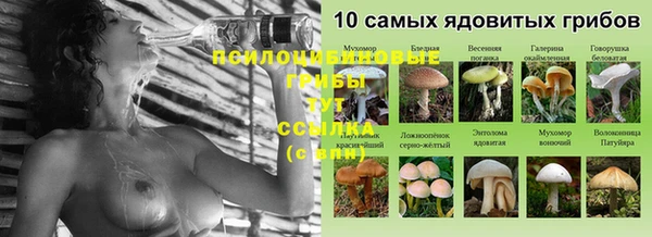 дмт Абдулино